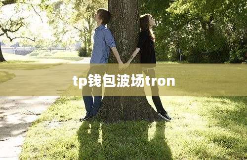 tp钱包波场tron