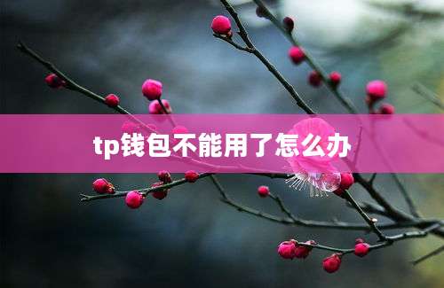 tp钱包不能用了怎么办