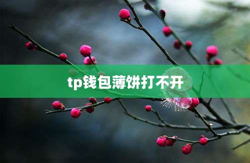 tp钱包薄饼打不开