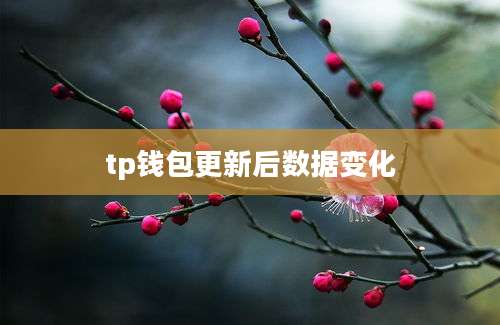 tp钱包更新后数据变化