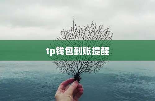 tp钱包到账提醒