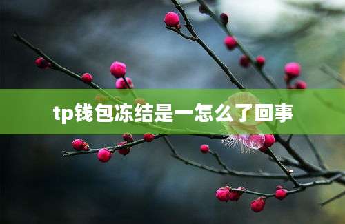 tp钱包冻结是一怎么了回事