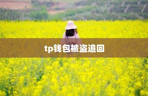 tp钱包被盗追回