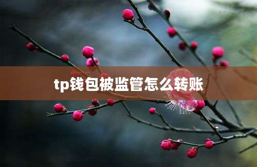 tp钱包被监管怎么转账