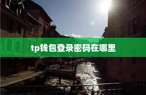 tp钱包登录密码在哪里