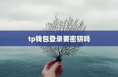 tp钱包登录要密钥吗