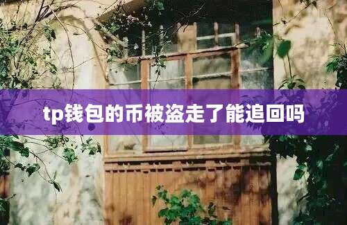 tp钱包的币被盗走了能追回吗