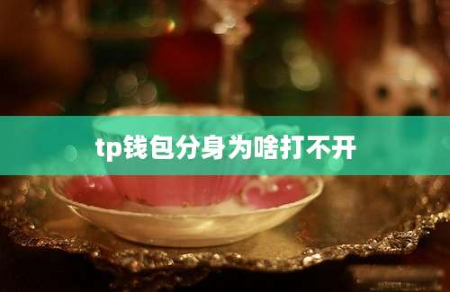 tp钱包分身为啥打不开