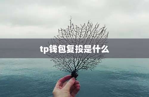 tp钱包复投是什么