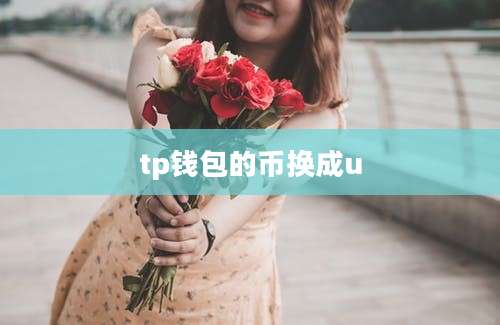 tp钱包的币换成u