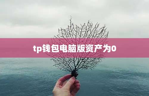 tp钱包电脑版资产为0