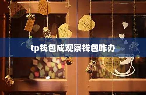 tp钱包成观察钱包咋办