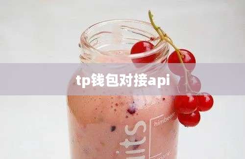 tp钱包对接api