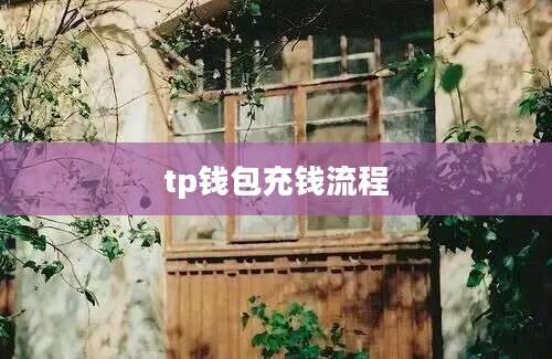 tp钱包充钱流程