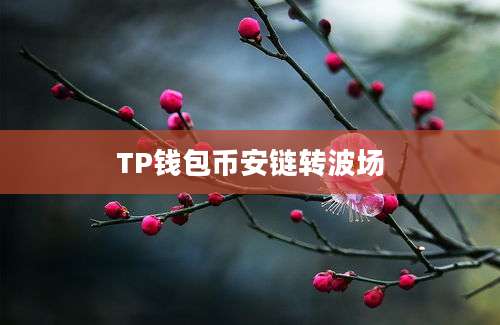 TP钱包币安链转波场