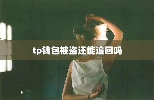 tp钱包被盗还能追回吗