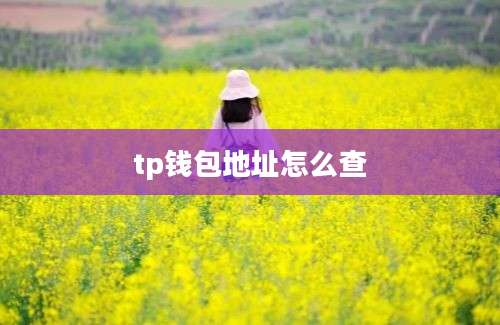 tp钱包地址怎么查