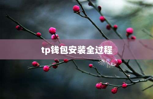 tp钱包安装全过程