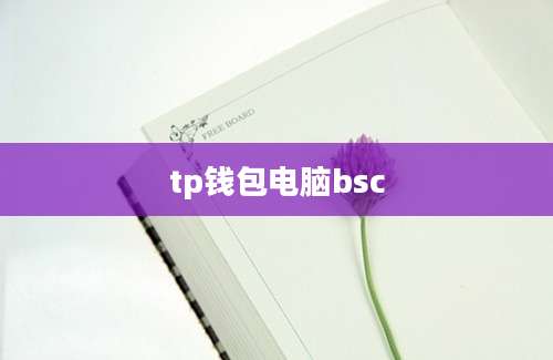 tp钱包电脑bsc