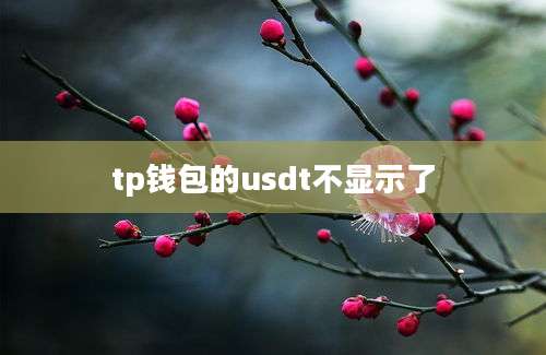 tp钱包的usdt不显示了