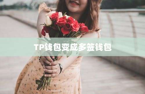 TP钱包变成多签钱包