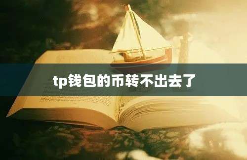 tp钱包的币转不出去了