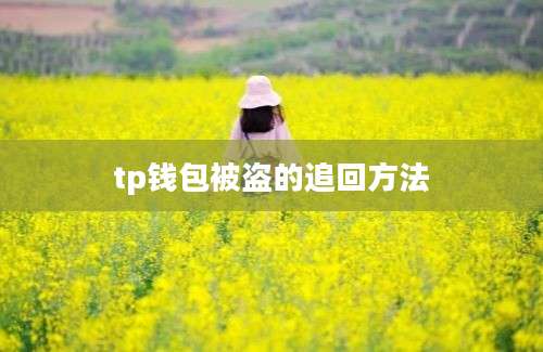 tp钱包被盗的追回方法