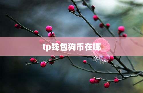 tp钱包狗币在哪