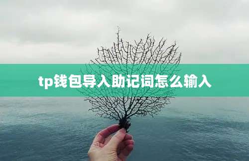 tp钱包导入助记词怎么输入