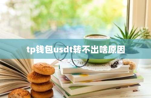 tp钱包usdt转不出啥原因