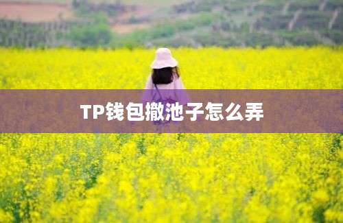 TP钱包撤池子怎么弄