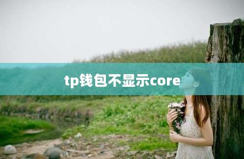 tp钱包不显示core