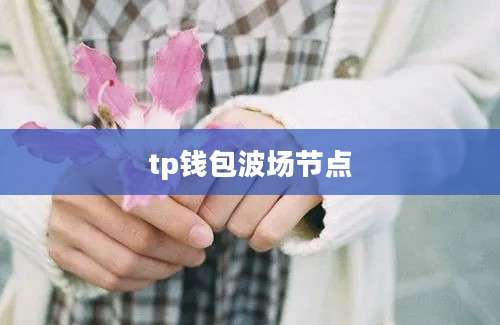 tp钱包波场节点