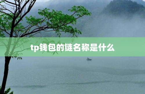 tp钱包的链名称是什么