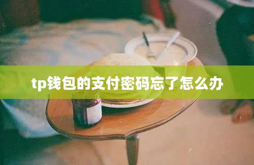 tp钱包的支付密码忘了怎么办