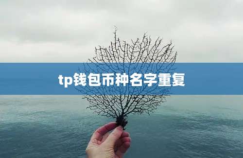 tp钱包币种名字重复