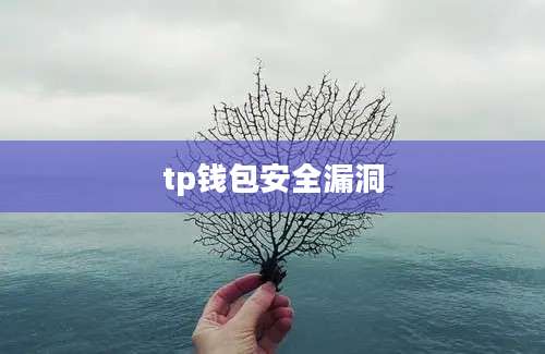 tp钱包安全漏洞