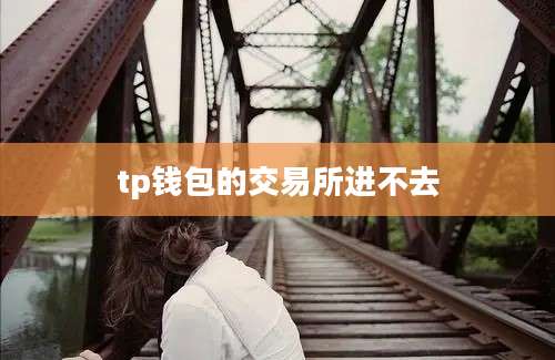 tp钱包的交易所进不去