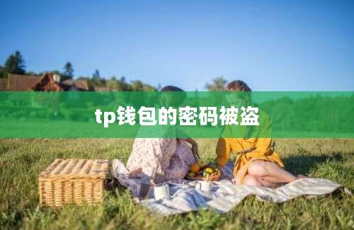 tp钱包的密码被盗