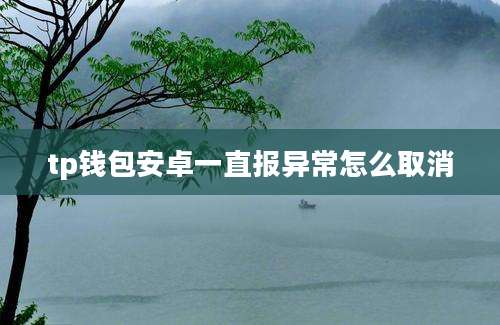 tp钱包安卓一直报异常怎么取消