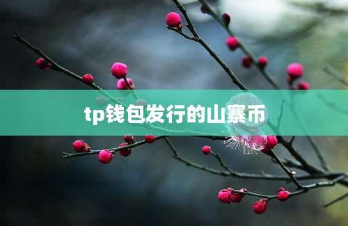 tp钱包发行的山寨币