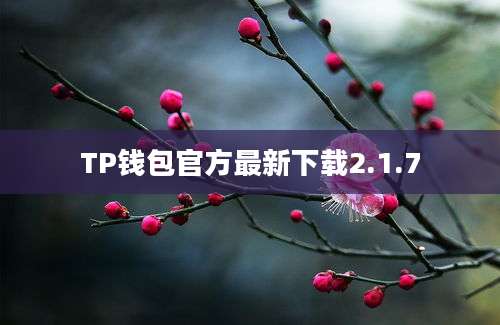 TP钱包官方最新下载2.1.7