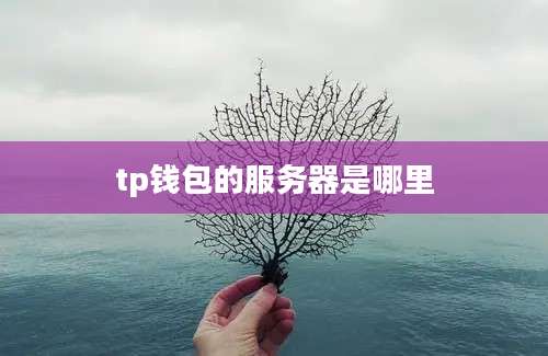 tp钱包的服务器是哪里