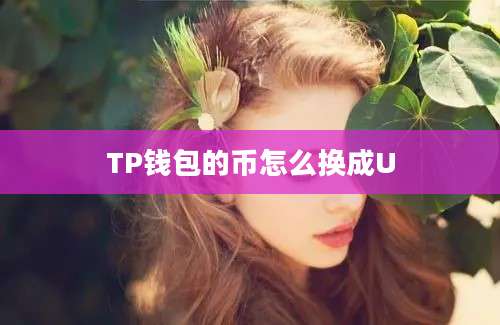 TP钱包的币怎么换成U