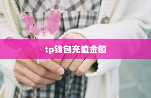 tp钱包充值金额