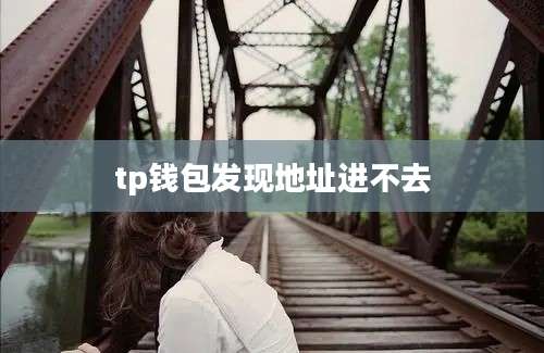 tp钱包发现地址进不去