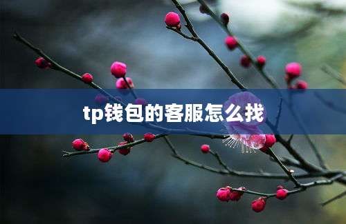 tp钱包的客服怎么找