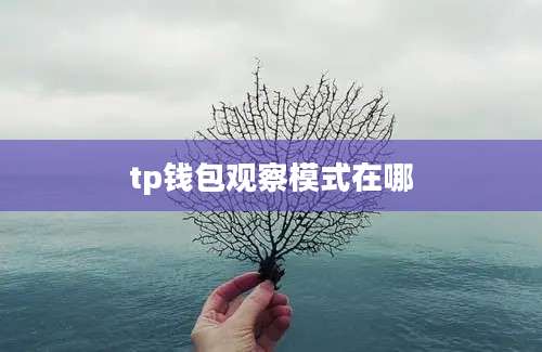 tp钱包观察模式在哪