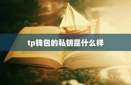 tp钱包的私钥是什么样