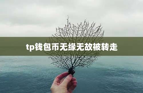 tp钱包币无缘无故被转走